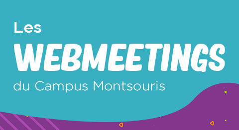 Webmeeting sur les métiers de l’informatique : mardi 13 avril à 18h
