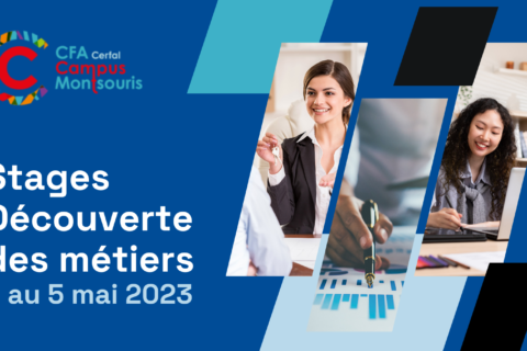 Stages de découverte des métiers pour la communication, la comptabilité et l’immobilier