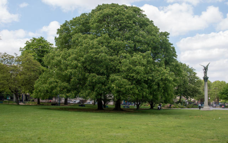 Parc Montsouris 